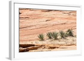 Zion National Park-PerseoMedusa-Framed Photographic Print