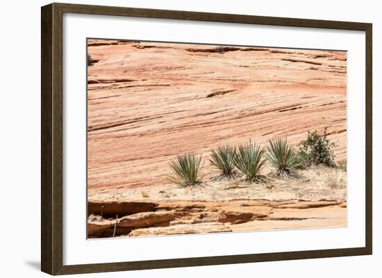 Zion National Park-PerseoMedusa-Framed Photographic Print