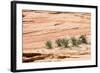 Zion National Park-PerseoMedusa-Framed Photographic Print