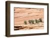 Zion National Park-PerseoMedusa-Framed Photographic Print