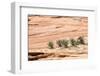 Zion National Park-PerseoMedusa-Framed Photographic Print