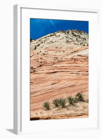 Zion National Park-PerseoMedusa-Framed Photographic Print