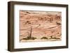 Zion National Park-PerseoMedusa-Framed Photographic Print