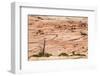 Zion National Park-PerseoMedusa-Framed Photographic Print