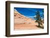 Zion National Park-PerseoMedusa-Framed Photographic Print