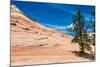 Zion National Park-PerseoMedusa-Mounted Photographic Print