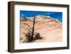 Zion National Park-PerseoMedusa-Framed Photographic Print