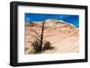 Zion National Park-PerseoMedusa-Framed Photographic Print