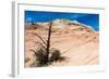 Zion National Park-PerseoMedusa-Framed Photographic Print