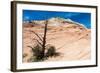 Zion National Park-PerseoMedusa-Framed Photographic Print