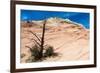 Zion National Park-PerseoMedusa-Framed Photographic Print