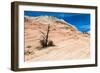 Zion National Park-PerseoMedusa-Framed Photographic Print