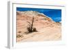 Zion National Park-PerseoMedusa-Framed Photographic Print