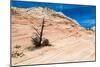 Zion National Park-PerseoMedusa-Mounted Photographic Print