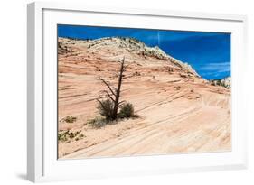 Zion National Park-PerseoMedusa-Framed Photographic Print