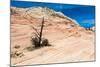 Zion National Park-PerseoMedusa-Mounted Photographic Print