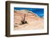 Zion National Park-PerseoMedusa-Framed Photographic Print