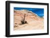 Zion National Park-PerseoMedusa-Framed Photographic Print