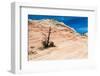 Zion National Park-PerseoMedusa-Framed Photographic Print