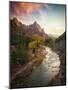 Zion National Park-Michael Zheng-Mounted Photographic Print