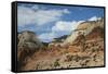 Zion National Park-Ken Archer-Framed Stretched Canvas