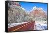 Zion Park-kobby_dagan-Framed Stretched Canvas