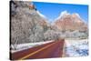 Zion Park-kobby_dagan-Stretched Canvas