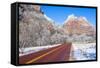 Zion Park-kobby_dagan-Framed Stretched Canvas