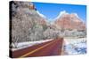 Zion Park-kobby_dagan-Stretched Canvas