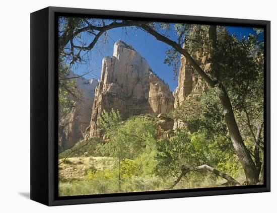 Zion-Gordon Semmens-Framed Stretched Canvas