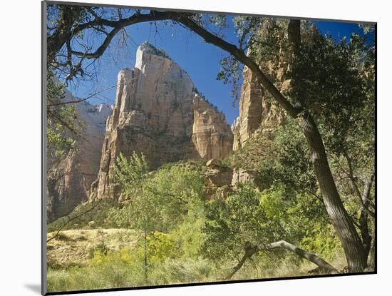 Zion-Gordon Semmens-Mounted Photographic Print