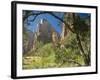 Zion-Gordon Semmens-Framed Photographic Print