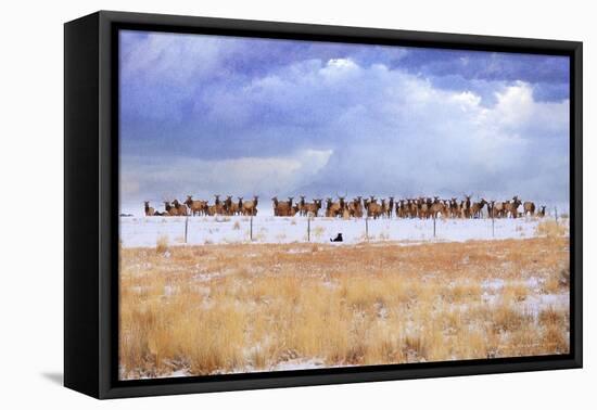 Zippy and the Elk-Chris Vest-Framed Stretched Canvas