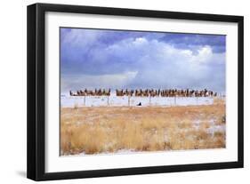 Zippy and the Elk-Chris Vest-Framed Art Print