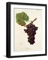 Zitania Grape-J. Troncy-Framed Giclee Print