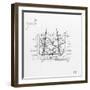 Zodiac, Leo (Maxims)-null-Framed Art Print