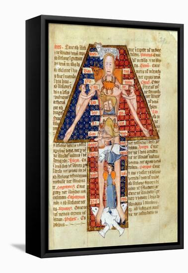 Zodiac Man, from a Calendar or Astrological Notes, English 14th-15th Century-null-Framed Stretched Canvas