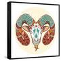 Zodiac Signs - Aries-krasstin-Framed Stretched Canvas