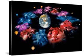 Zodiac Signs-Detlev Van Ravenswaay-Stretched Canvas