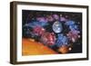 Zodiac Signs-Detlev Van Ravenswaay-Framed Premium Photographic Print