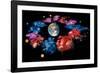 Zodiac Signs-Detlev Van Ravenswaay-Framed Photographic Print