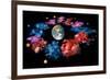 Zodiac Signs-Detlev Van Ravenswaay-Framed Photographic Print