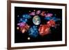 Zodiac Signs-Detlev Van Ravenswaay-Framed Photographic Print