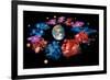 Zodiac Signs-Detlev Van Ravenswaay-Framed Photographic Print