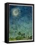 Zodiac Sky-Wayne Anderson-Framed Stretched Canvas