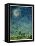 Zodiac Sky-Wayne Anderson-Framed Stretched Canvas