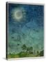 Zodiac Sky-Wayne Anderson-Stretched Canvas