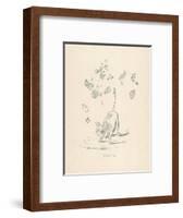 Zodiac, Taurus (Maxims)-null-Framed Art Print