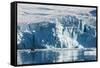 Zodiac with tourists cruising in front of a huge glacier, Hope Bay, Antarctica, Polar Regions-Michael Runkel-Framed Stretched Canvas