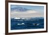 Zodiac with tourists cruising through the icebergs, Brown Bluff, Tabarin Peninsula, Antarctica, Pol-Michael Runkel-Framed Photographic Print